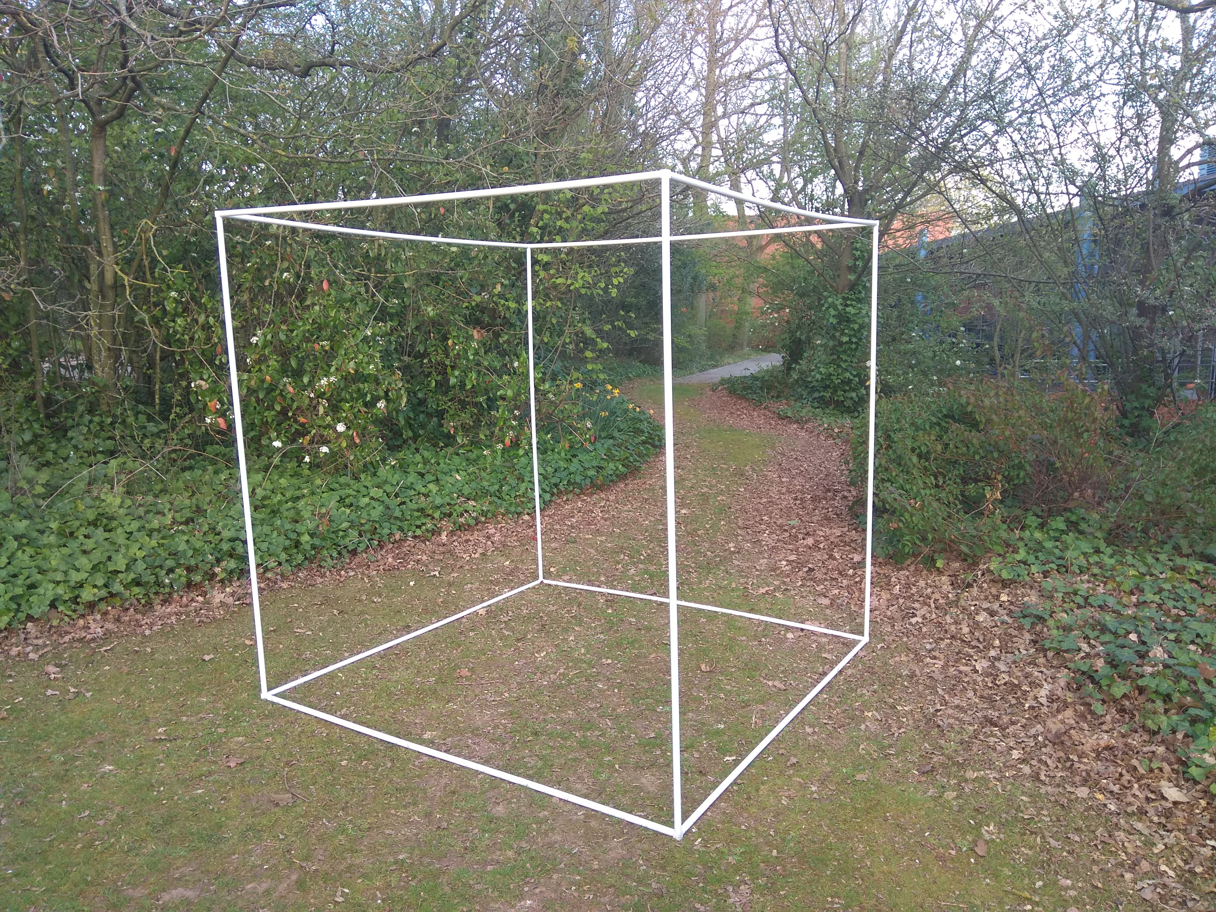 Cube